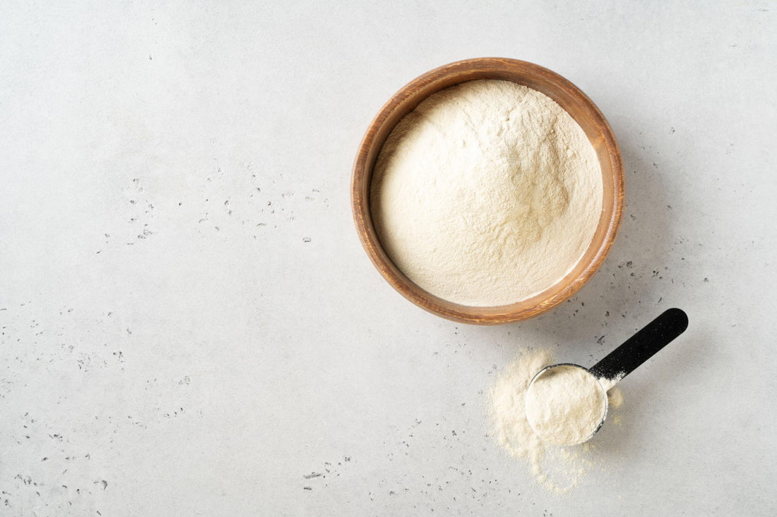 Best Protein for Women Over 40