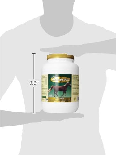 NaturVet ArthriSoothe Gold Advanced Joint Horse Supplement Powder – For Healthy Joint Function in Horses – Includes Glucosamine, MSM, Chondroitin, Hyaluronic Acid – 120 Day Supply