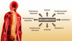 Flamasil™- for Healthy Inflammation Response* | Multi-Herbal Pain Reliever* and Joint Aid | Bio-Enhanced Turmeric, Boswellia, Resveratrol, and More | 13-in-1 Superfood Antioxidants | 30-Day Supply