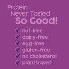 No Nuts! Blueberry & Vanilla Protein Bars – Nut-Free & School-Safe | 12g Plant Protein, Vegan, Gluten-Free, Non-GMO, Organic, Kosher | 12 Count