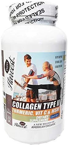 Collagen Type II with Turmeric, Vitamin C, & MSM 240 Capsules 1 Pack