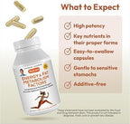 ANDREW LESSMAN Energy and Fat Metabolism Factors 360 Capsules - Promotes Optimum Fat Burning and Energy Metabolism, with Carnitine, Green Tea, Guarana, Ginseng, B-Complex. Easy to Swallow Capsules