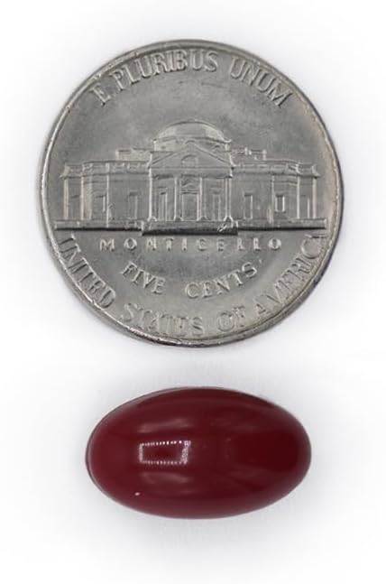 Cranberry Pills for Women & Men – 280 mg Cranberry Concentrate with Vitamin C & E – Urinary Tract & Bladder Support – 100 Softgels