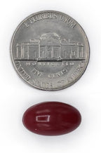 Cranberry Pills for Women & Men – 280 mg Cranberry Concentrate with Vitamin C & E – Urinary Tract & Bladder Support – 100 Softgels