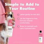 Her Fantasy Box | Sensitive Probiotic+ Gentle Cleanser – Fragrance-Free, pH Balanced Body Wash with Chamomile & Probiotic Lysates, Vegan & Cruelty Free, 8 oz