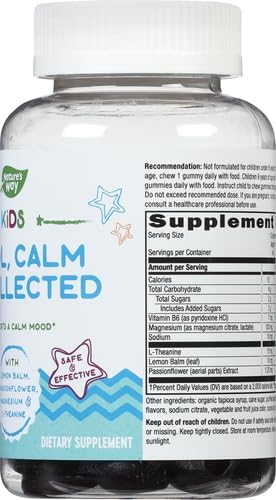 Nature's Way Kids Cool & Calm Gummies,Supports a Calm Mood in Kids Ages 8+*,Lemon Balm,Magnesium,Vitamin B6,L-Theanine,Grape Flavored,Vegetarian,(Packaging May Vary),40 Count (Pack of 2)