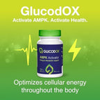 GlucodOX AMPK Activator Supplement – AMPK Enzyme, Metabolism Booster, Guggul Supplement for Body Management & Longevity – Vegan Metabolic Support - 30 Day Supply (60 Capsules)