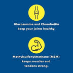 Advanced Mobility & Flexibility Support Formula with Glucosamine, Chondroitin & MSM – 240 Capsules for Active Lifestyles & Daily Wellness