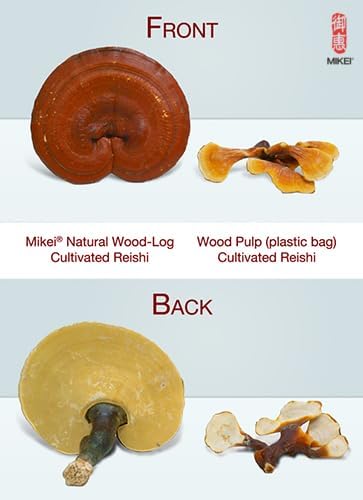 Mikei Red Reishi Mushroom EX (60 Capsules)