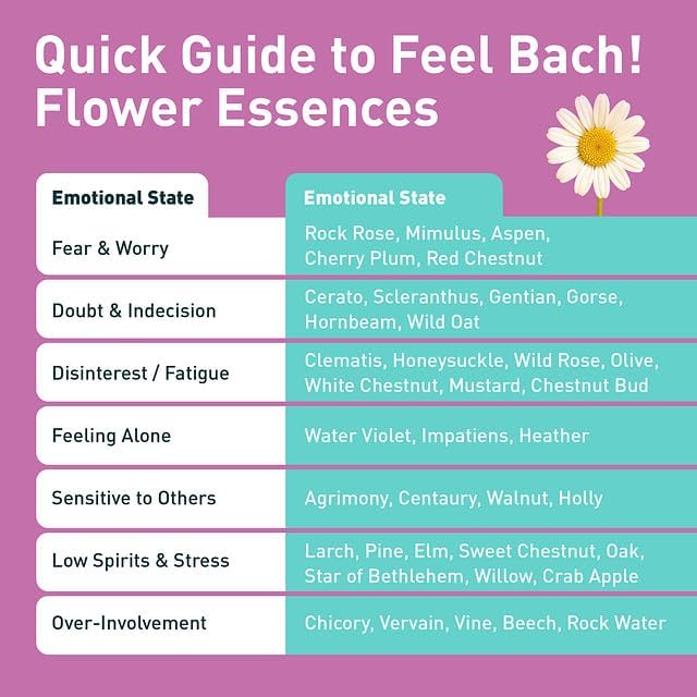 Feel Bach! Joy Remedy - Natural Homeopathic Flower Essences for Elevate Spirit and Dissolve Emotional Blocks - Free Your Emotions - Vegan, Gluten & Sugar-Free, Non-Habit Forming, 20ml (0.7 fl oz)