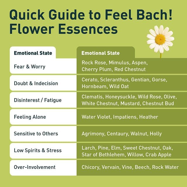 Feel Bach! Get Hope Back Remedy - Natural Homeopathic Flower Essences for Reclaim Life From Deep Despair - Renew & Overcome the Darkness Vegan, Gluten & Sugar-Free, Non-Habit Forming, 20ml (0.7 fl oz)