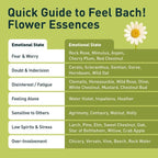 Feel Bach! Get Hope Back Remedy - Natural Homeopathic Flower Essences for Reclaim Life From Deep Despair - Renew & Overcome the Darkness Vegan, Gluten & Sugar-Free, Non-Habit Forming, 20ml (0.7 fl oz)