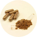 3 Bottles of Umi No Shizuku Fucoidan Capsule Pure Seaweed Extract Enhanced with Agaricus Mushroom Optimized Immune Support Health Supplement