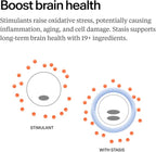 Stasis Daytime Energy & Focus Supplement for Men & Women with Vitamin D3, L Theanine, Ashwagandha & CoQ10, Cognitive Support Capsules for Morning Routines, Vegan, Non GMO, 25 Servings, 1 Month Supply