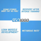 Conjugated Linoleic Acid CLA Pills - CLA 1000mg Diet Pills to Support Weight Loss Fat Burning Lean Muscle and Faster Metabolism - Stimulant-Free CLA 1000mg Safflower Based Fat Loss Support Pills - 180