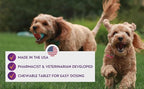Comprehensive Liver Supplement (2 Pack - 60ct), Combining Same, SPC, Silybin A+B, Gluathione, Chew Tabs for Dogs 30Ct (2X Small - Medium)