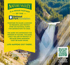 Nature Valley Chewy Granola Bar, Protein, Coconut Almond, 5 Bars, 7.1 OZ (Pack of 4)
