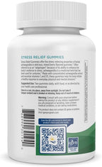 Nordic Naturals Stress Relief Gummies, Mixed Berry, 40 Gummy Supplements, Supports Daily Mood and Immune System Health, Non-GMO, Vegetarian, 20 Servings (Pack of 2)