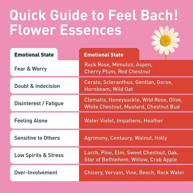 Feel Bach! Love & Relationship Remedy - Natural Homeopathic Flower Essences to Enhance Interpersonal Relations - Feel More Open - Vegan, Gluten & Sugar-Free, Non-Habit Forming, 20ml (0.7 fl oz)