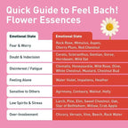 Feel Bach! Love & Relationship Remedy - Natural Homeopathic Flower Essences to Enhance Interpersonal Relations - Feel More Open - Vegan, Gluten & Sugar-Free, Non-Habit Forming, 20ml (0.7 fl oz)