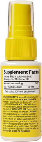 Beekeeper's Naturals Propolis Throat Spray, Natural Immune Support & Sore Throat Relief - Antioxidants, Keto, Paleo, Gluten-Free, 1.0 oz (Pack of 2)
