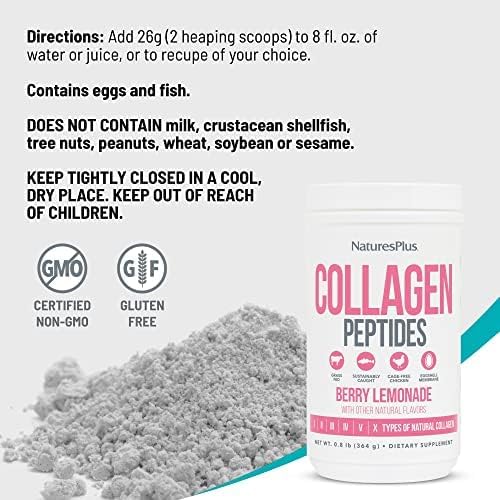 NaturesPlus Collagen Peptides, Berry Lemonade - 0.8 lb Powder - Hair, Skin, Nail & Joint Health, Immune System Support - Non-GMO, Gluten Free - 14 Servings
