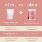 Boobie Body Superfood Protein Pregnancy and Postpartum Meal Replacement Shake, Chocolate Bliss Flavor | 19g Protein | Safe for Lactation & Motherhood | Organic, Vegan, Zero Sugar, 1 Tub (20 Servings)