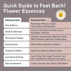 Feel Bach! Quit Smoking Remedy - Natural Homeopathic Flower Essences for Natural Quit Companion to Helps you Let Go, To Calm & In Charge Vegan, Gluten & Sugar-Free, Non-Habit Forming, 20ml (0.7 fl oz)