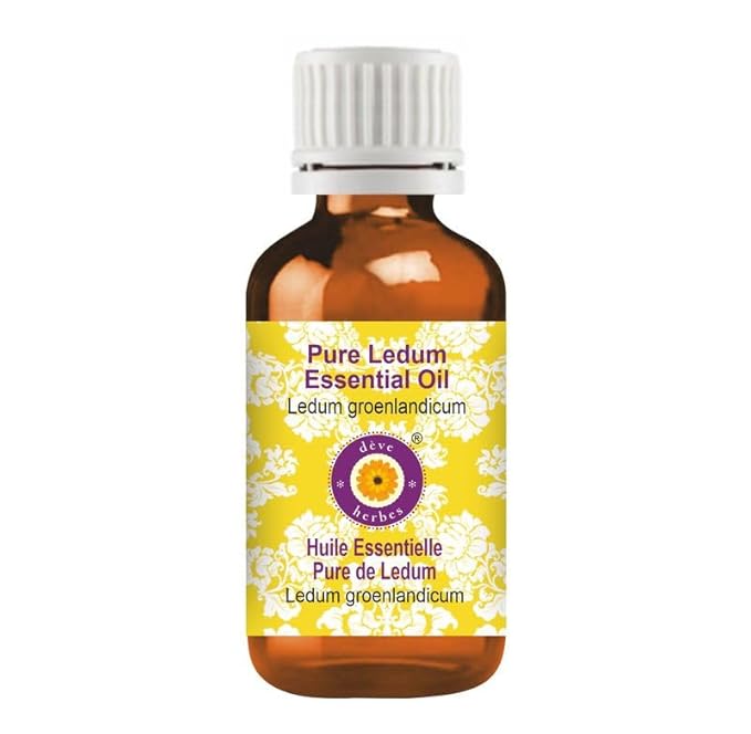 dève herbes Pure Ledum Essential Oil (Ledum groenlandicum) Steam Distilled 5ml (0.16 oz)