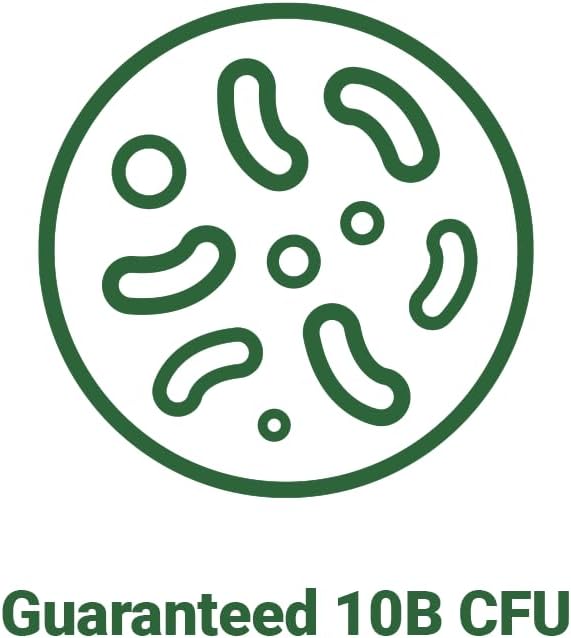 BNRThin S30, Lactobacillus Gasseri BNR17, 10 Billion CFU Guaranteed, 90 Capsules (90 Serving, 3 Packs of 30)