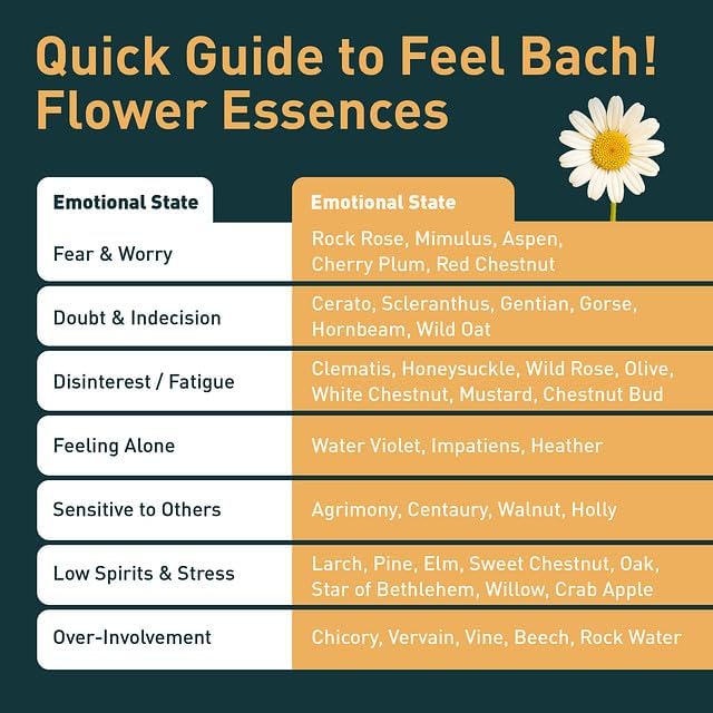 Feel Bach! FeelFive for Pets Remedy, Natural Homeopathic Flower Essences for Emergency Support, Relief of Fear, Worry and New Adoption, Vegan, Gluten & Sugar-Free, Non-Habit Forming, 20ml (0.7 fl oz)