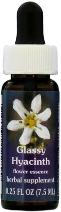 Flower Essence Services Supplement Dropper, Glassy Hyacinth, 0.25 Ounce