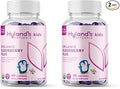 Hyland's Kids Organic Elderberry Plus Gummies, Organic Black Elderberry with ZINC and Vitamin C, Immune Support for Children, 48 Vegan Gummies (Pack of 2)