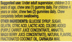 Equate Kids Multivitamin Gummies for General Health, Natural Fruit, 190 Count +Dri Store Sticker.