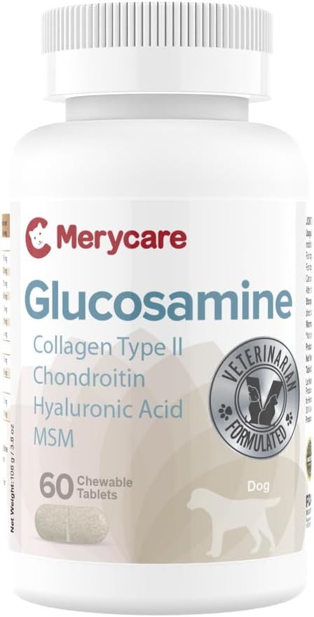 Glucosamine for Dogs – Hip & Joint Support Chewable Tablets with Collagen Type II, Chondroitin, MSM & Hyaluronic Acid – Veterinarian-Formulated – 60 Count