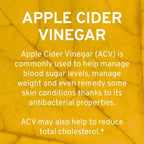 TRIO NUTRITION Apple Cider Vinegar Capsules with Multi-Strain Probiotics - Natural Sugar Free ACV Capsules with The Mother for Gut Health, Immunity, Body Cleanse & Healthy pH - Metabolism Booster*