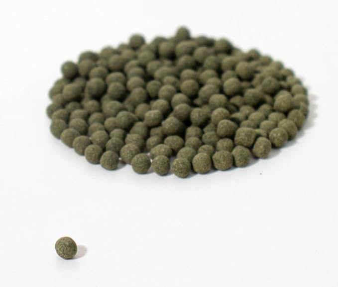 Organic Natural Pure Korean Premium Motherwort (Leonurus cardiaca/Leonurus Japonicus) Extract Herbal Pills Granule Ball - Concentrated Lump Grain Powder -10.58 Ounce (300g)