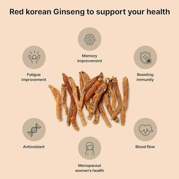 K-Herb Premium Korean Red Ginseng Sticks Liquid Portable Sticks with Korean Red Ginseng Extract No Preservatives (Ginsenoside 25mg 60P)