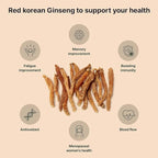 K-Herb Premium Korean Red Ginseng Sticks Liquid Portable Sticks with Korean Red Ginseng Extract No Preservatives (Ginsenoside 25mg 60P)