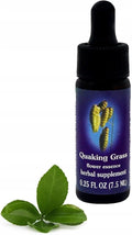 Flower Essence Services Supplement Dropper, Quintessentials Black Cohosh, 0.25 Fluid Ounce