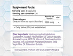 Mind+ Plasmalogen Brain Supplement Liposomal & Nanoencapsulated Formula for Better Absorption Sea Squirt Sourced Directly from Japan - Cognitive Health & High Potency - 60 Capsules