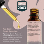 Feel Bach! Quit Smoking Remedy - Natural Homeopathic Flower Essences for Natural Quit Companion to Helps you Let Go, To Calm & In Charge Vegan, Gluten & Sugar-Free, Non-Habit Forming, 20ml (0.7 fl oz)