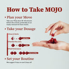 Mojo Focus Gummies w/Lion’s Mane, Panax Ginseng, Ginger Root, Cordyceps, Brain Supplement Memory/Focus Support Adults Nootropic Mushroom Gummies, Pomegranate Hibiscus, Regular Strength (2 Pack)
