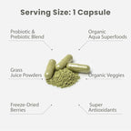 Paradise Herbs Earth's Blend Once Daily Multivitamin with Iron, 48 Organic Superfoods, Probiotics, Antioxidants, Vitamins A, B12, C, D, K2, 120 Capsules
