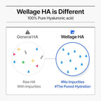 WELLAGE Real Hyaluronic Blue Ampoule 100, Korean Hydrating Serum for Face, Fragrance Free Hyaluronic Acid Deep Moisturizing Serum with Panthenol, PDRN for Sensitive Dry Skin Moisturizer, 2.54 Fl Oz_R