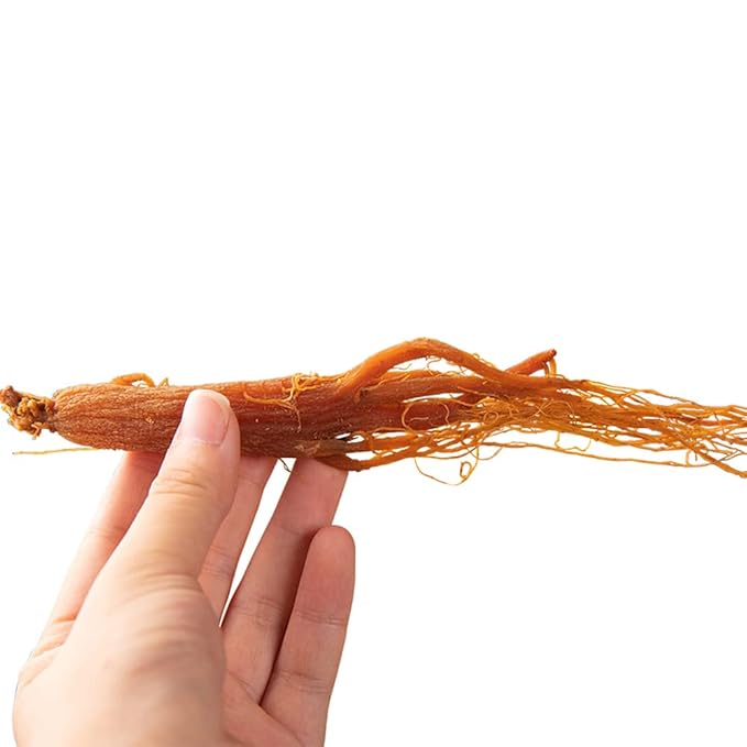Red Ginseng Roots Whole Root Pieces - Red Panax Ginseng Roots Ginseng Red Ginseng Korean Red Ginseng Supplement Red Ginseng Tea Energy Chews (100 Grams /0.22 lbs), 1.0 Count