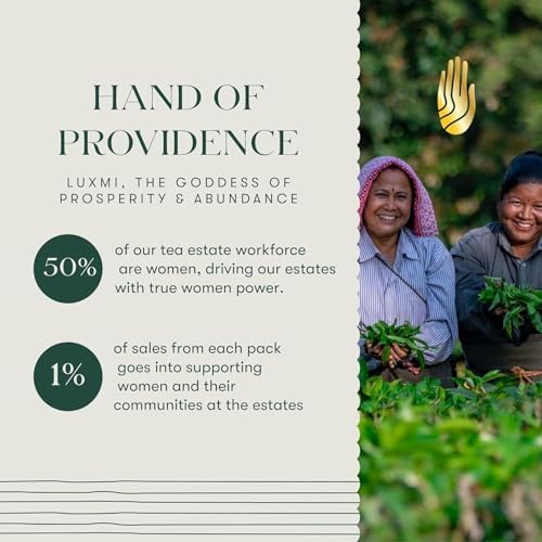 Luxmi Estates Holy Basil Tulsi Ginger Tea for Immunity | Loose Leaf 25 Cups (50g/1.76oz) | Caffeine Free | Non-GMO