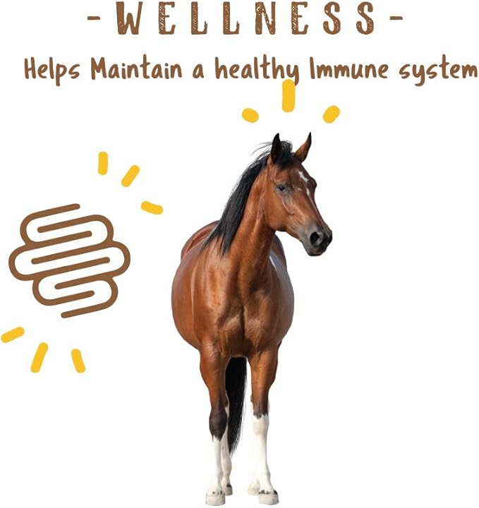 Manna Pro Simply Flax for Horses – Omega-3 Rich Flaxseed Supplement – Supports Coat Health, Joint Function & Immune System – Natural Source of Essential Fatty Acids – Ground Flax – 8 lb Bag