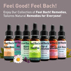 Feel Bach! Quit Smoking Remedy - Natural Homeopathic Flower Essences for Natural Quit Companion to Helps you Let Go, To Calm & In Charge Vegan, Gluten & Sugar-Free, Non-Habit Forming, 20ml (0.7 fl oz)