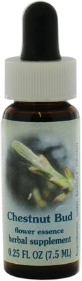 Flower Essence Services Supplement Dropper, Chestnut Bud, 0.25 Fluid Ounce